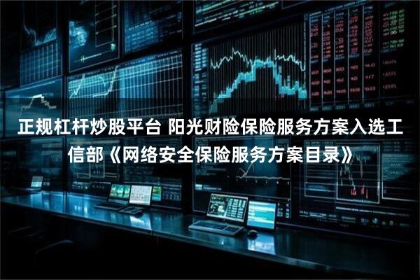 正规杠杆炒股平台 阳光财险保险服务方案入选工信部《网络安全保险服务方案目录》