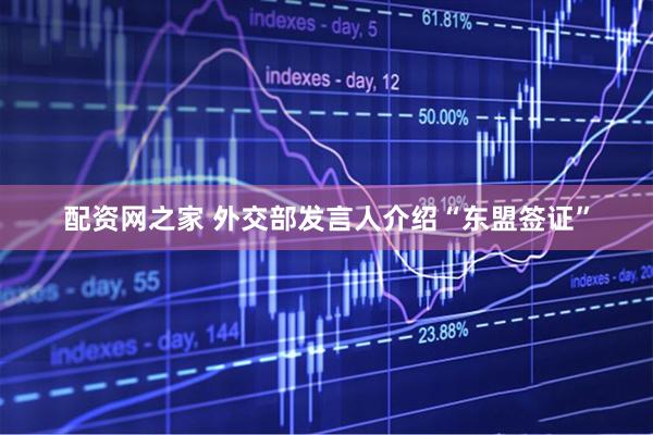 配资网之家 外交部发言人介绍“东盟签证”