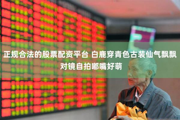 正规合法的股票配资平台 白鹿穿青色古装仙气飘飘 对镜自拍嘟嘴好萌