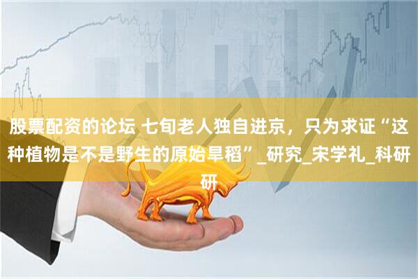 股票配资的论坛 七旬老人独自进京，只为求证“这种植物是不是野生的原始旱稻”_研究_宋学礼_科研