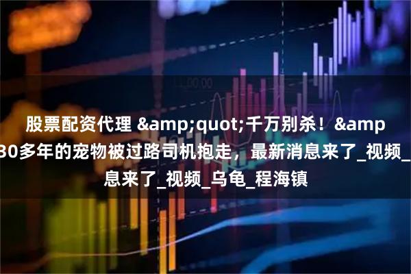 股票配资代理 &quot;千万别杀！&quot;养了30多年的宠物被过路司机抱走，最新消息来了_视频_乌龟_程海镇