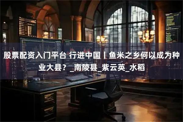 股票配资入门平台 行进中国丨鱼米之乡何以成为种业大县？_南陵县_紫云英_水稻