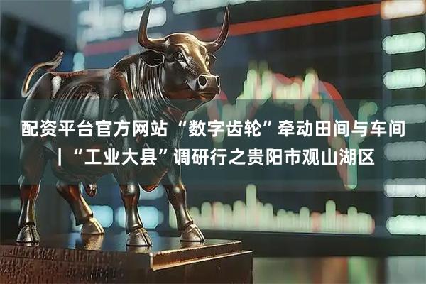 配资平台官方网站 “数字齿轮”牵动田间与车间｜“工业大县”调研行之贵阳市观山湖区
